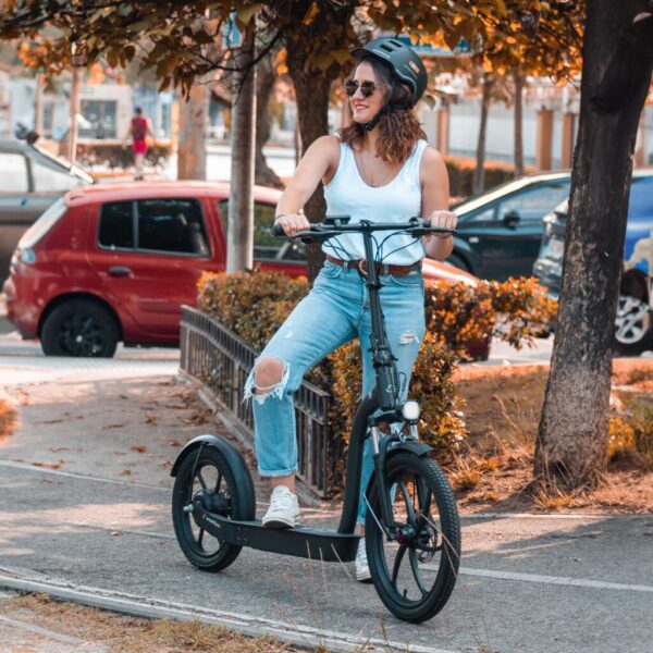 Patinete eléctrico smartgyro Lobo